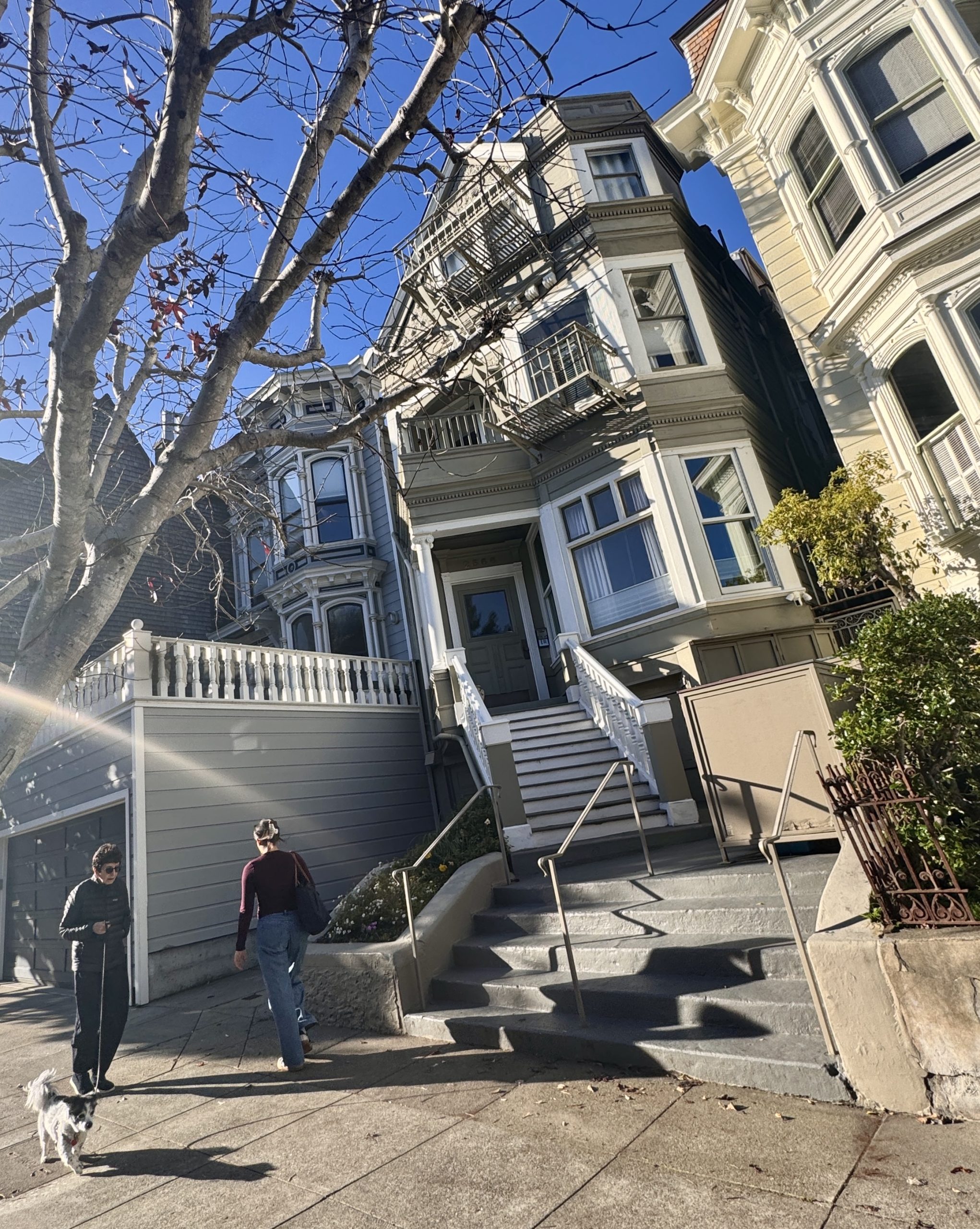 Victorian homes on a Hayes Valley street, San Francisco