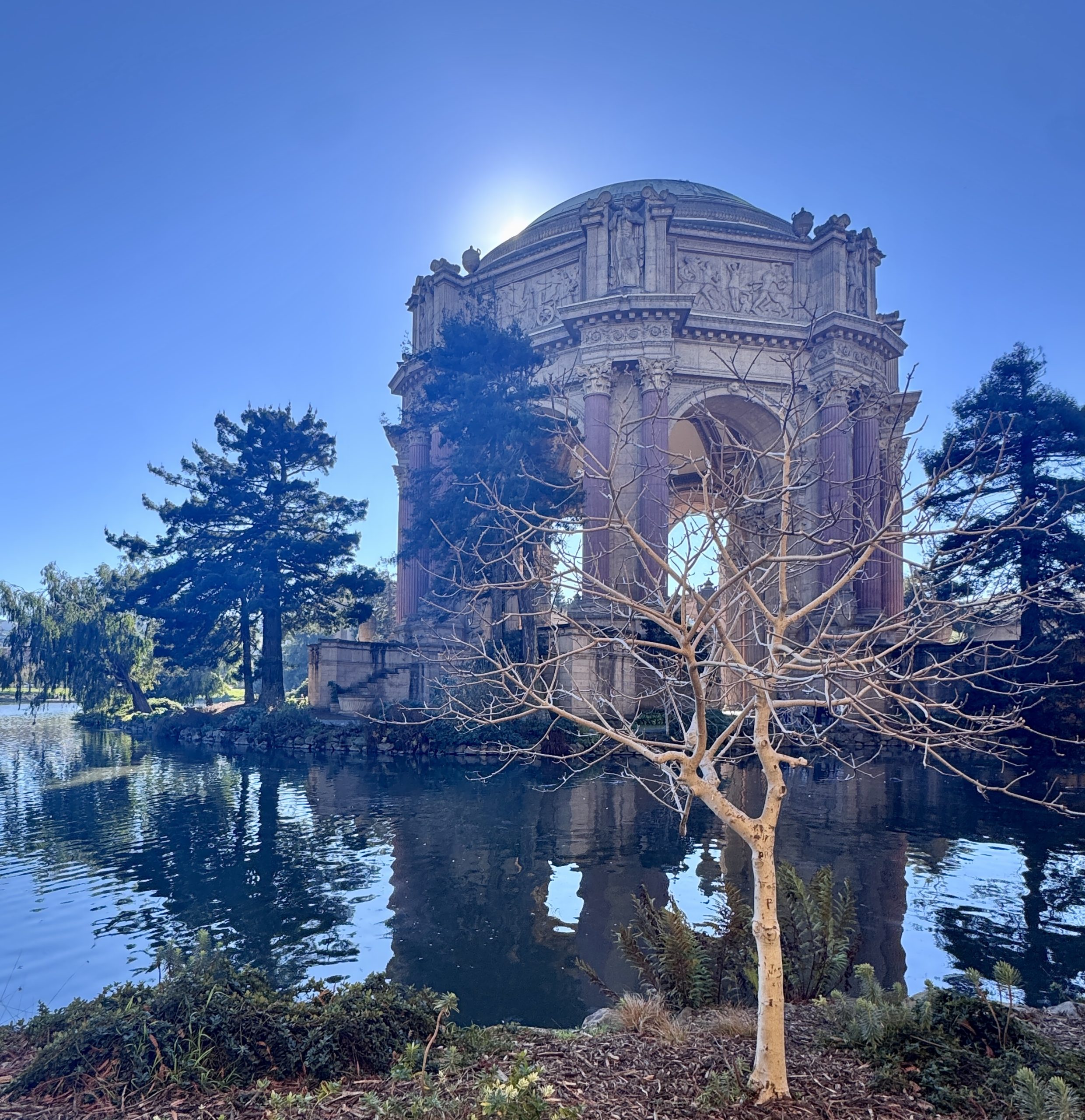 Palace of Fine Arts in the Marina District, San Francisco